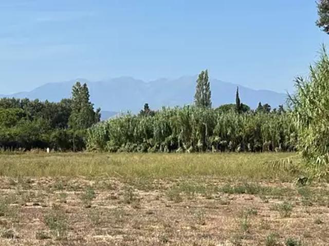 Toulouges 66350 Programme neuf maison neuf à vendre 4 pièces