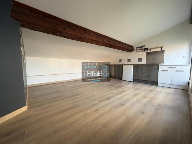 TOULOUGES Appartement T2 18 m2