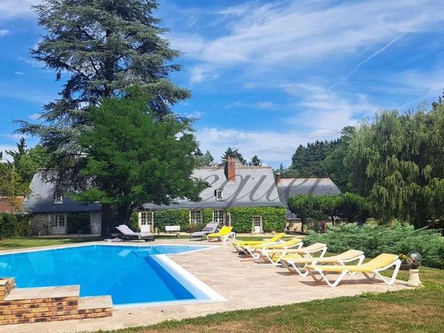 TOURS 37510 Maison 350 M2 + Maison d'amis 40 m² 7 Chambr. 340m² Tours