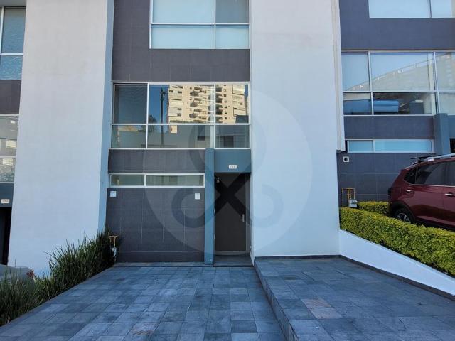 Town Hose Bosque Real