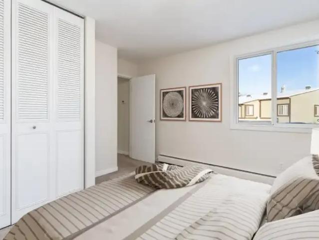 Townhouse 3 Bedroom For Rent Edmonton AB 1765 ES105859049