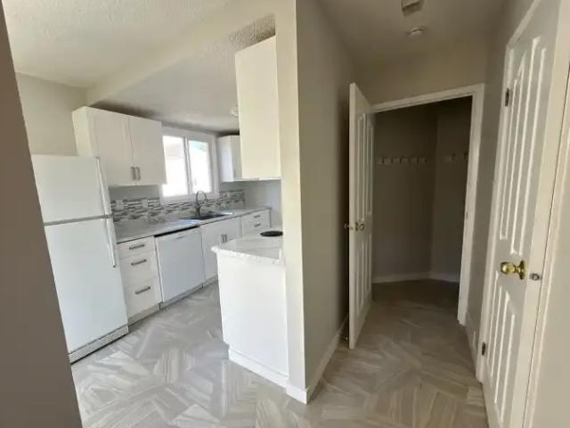 Townhouse 3 Bedroom For Rent Edmonton AB 1800 ES105737682