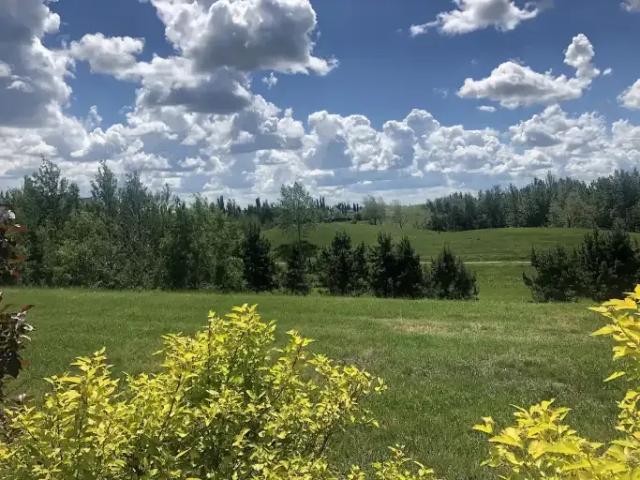 Townhouse 2 Bedroom For Rent Edmonton AB 1875 ES105486685