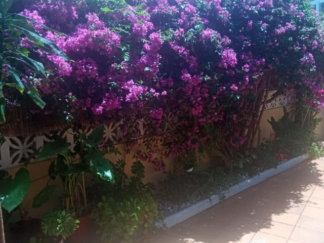 Townhouse for rent in Almuñécar, Granada