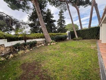 Calle del Cangrejo, La Barrosa, Cádiz, Andalucía, Andalucía