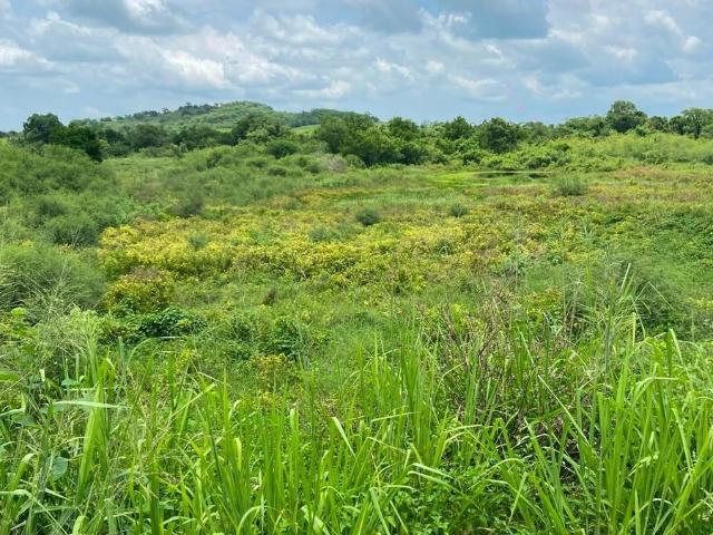 TR2810 JG TERRENO EN RENTA, CARR. TANTOYUCA TUXPAN