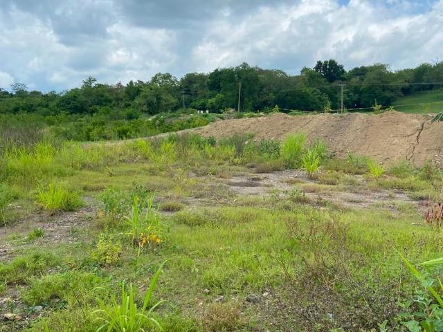 TR2810 JG TERRENO EN RENTA, CARR. TANTOYUCA TUXPAN