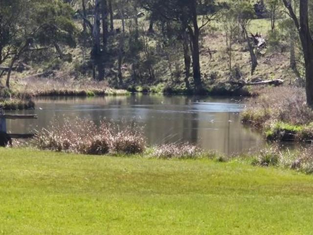 TROUT FISHING AT YOUR BOUNDARY!