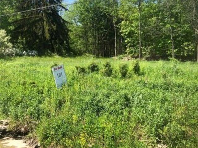 Troy Rd, Ithaca, Plot For Sale