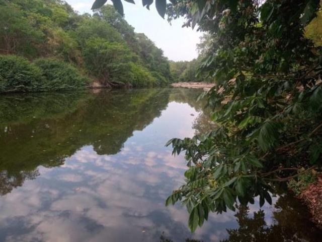 Troco excelente fazenda Monte Alegre Goiás