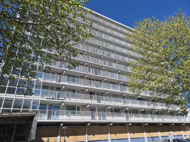 Troelstraweg 317
