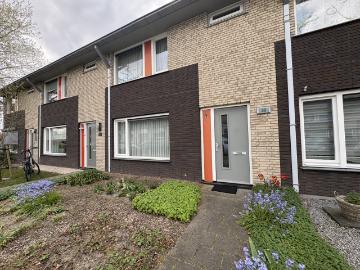 Olland, Meierijstad, Noord-Brabant - Tuin