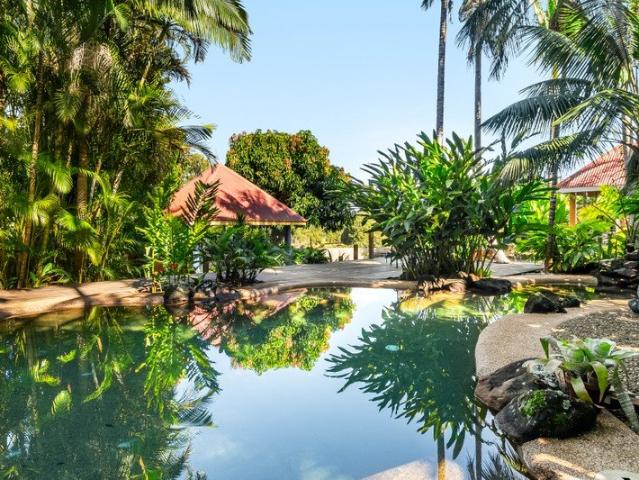 Tropical Hinterland Paradise