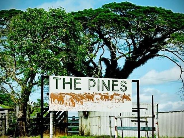 Tropical Lifestyle Acreage and income