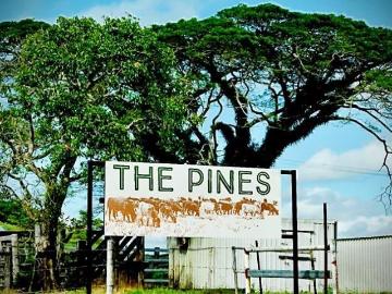 Tropical Lifestyle Acreage and income