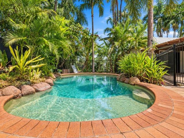 Tropical Poolside Living in Gray