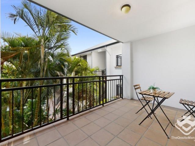 Tropical Retreat in City Centre
