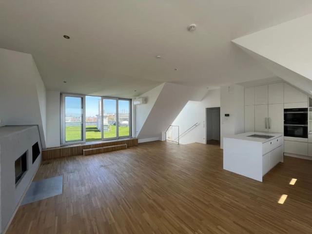 Traumhafte Maisonettewohnung mit Dachterrasse und Kamin Blick auf den Stephansdom