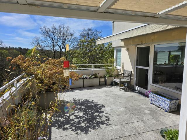 Traumhafte Dachterrasse & sofort verfügbar: Hochwertige Studio Wohnung in Havel Nähe in Berlin