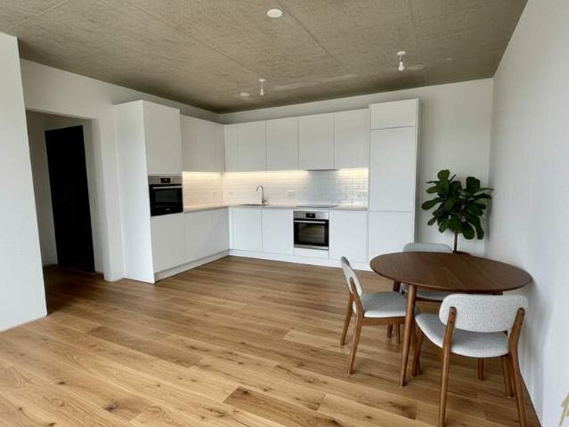 Traumhafte DG Wohnung: Erstbezug mit OST Terrasse!