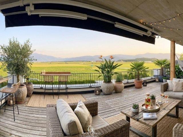Traumhafte Drei Zimmer Eck Wohnung mit riesiger Südostterrasse und Carportstellplatz