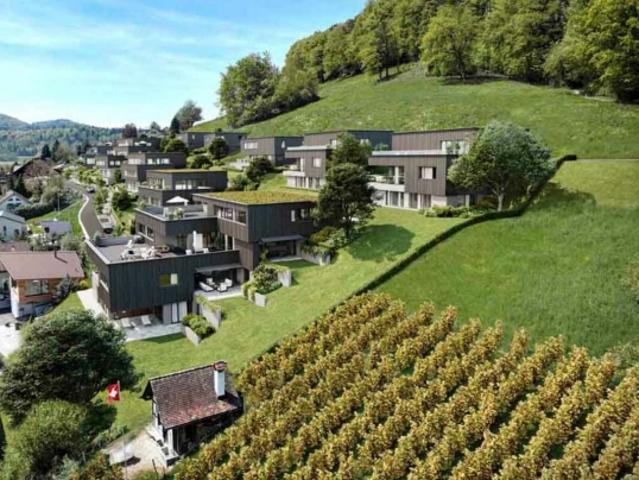 Traumhafte Fernsicht auf Alpstein mit Säntis und Churfirsten 5.5 Zi. Terrassenhaus