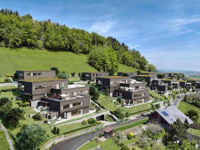 Traumhafte Fernsicht auf Alpstein mit Säntis und Churfirsten 5.5 Zi. Terrassenhaus
