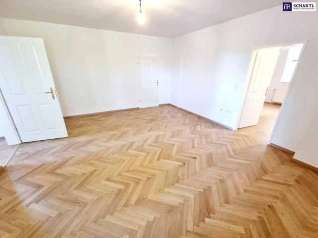 Traumhafte Grün und Ruhelage in 1130 Wien! Fern und Grünblick + Tolle Raumaufteilung + Historisches und saniertes Villengebäude! Einziehen und Wohlfühlen!