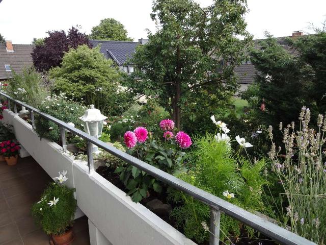 Traumhafte helle 2 Zi. Terrassenwohnung m. hochwertiger Einbauküche