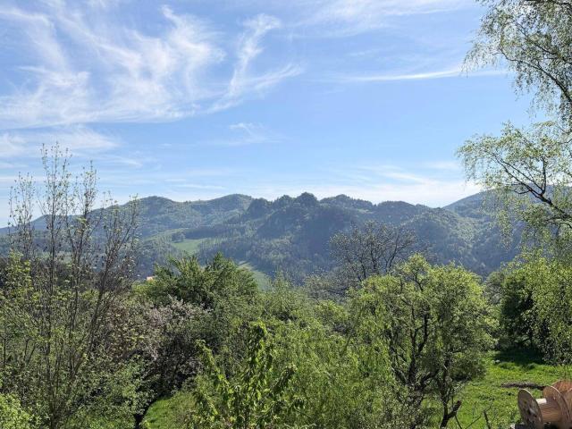 Traumhafte Lage am Frohnberg in Miesenbach Weitblick, Ruhe und Erholung auf 91m², 3 4 Zi Balkon, Terrasse
