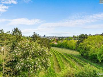 Traumhafte Terrassenwohnung in nobler Grünruhelage direkt beim Weingarten