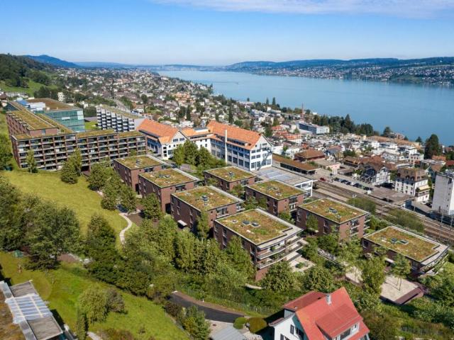 Traumhafte Wohnung in Horgen zu vermieten