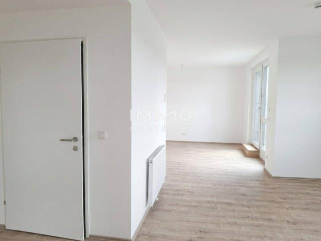 Traumhafte Wohnung mit wunderbarer Dachterrasse