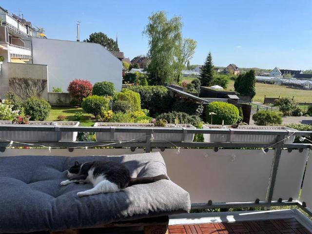 Traumhafte Zweizimmerwohnung mit sonnigem Balkon in Volmerswerth