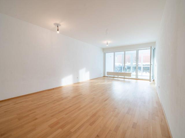 Traumhafte 3 Zimmer Gartenwohnung in Neustadtl an der Donau