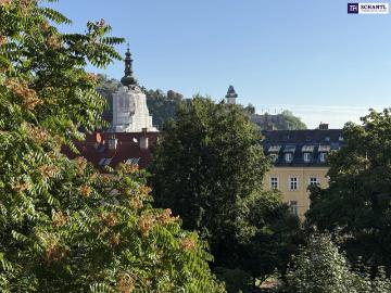 Wohnung zur Miete in 6105 - Balkon