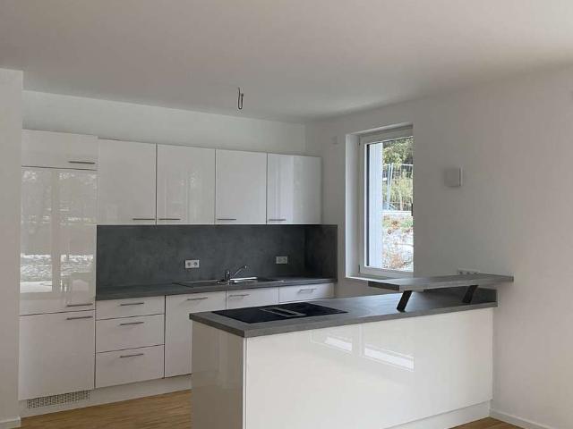 Traumhafte 3 Zimmer Wohnung mit Terrasse und Gartenmitbenutzung direkt am Neckar in Heidelberg