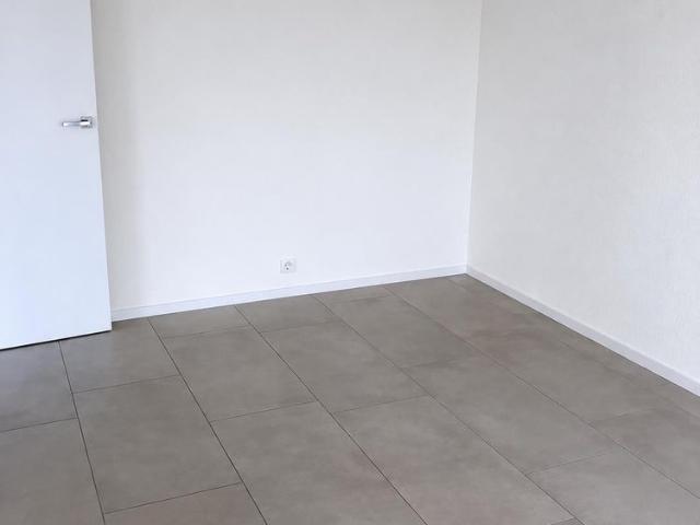 Traumhafte 4.5 Wohnung mit grosser Terrasse