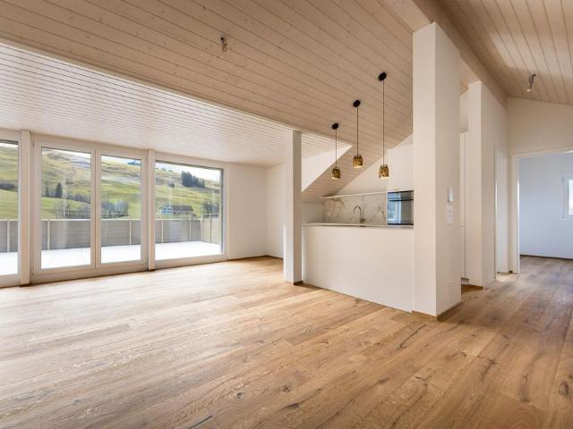 Traumhafte 4.5 Zimmer Attikawohnung