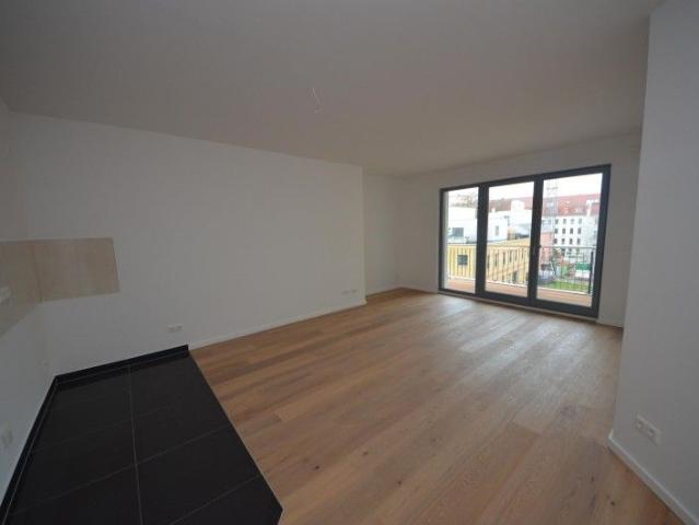 Traumhafte 4 Zimmerwohnung im Neubau mit Aufzug, Parkett, Balkon !
