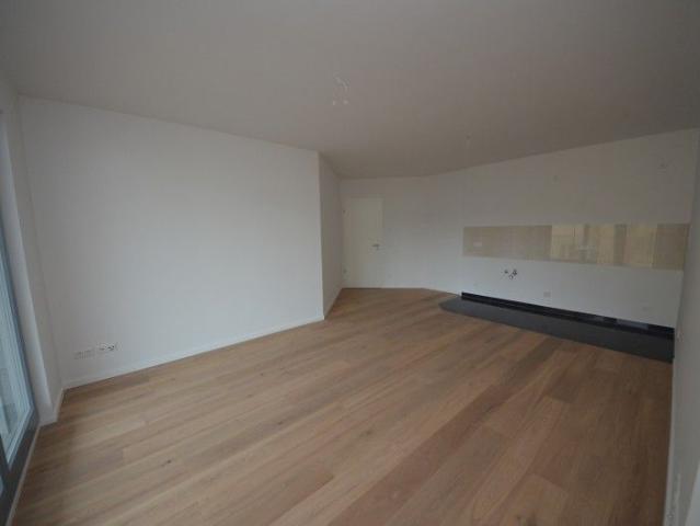 Traumhafte 4 Zimmerwohnung im Neubau mit Aufzug, Parkett, Balkon !