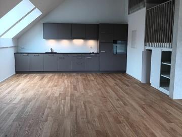 Traumhafte 5.5 Zi Dachwohnung mit Galerie in der neuen Überbauung Hübsche Mätteli an ruhiger und zentraler Lage