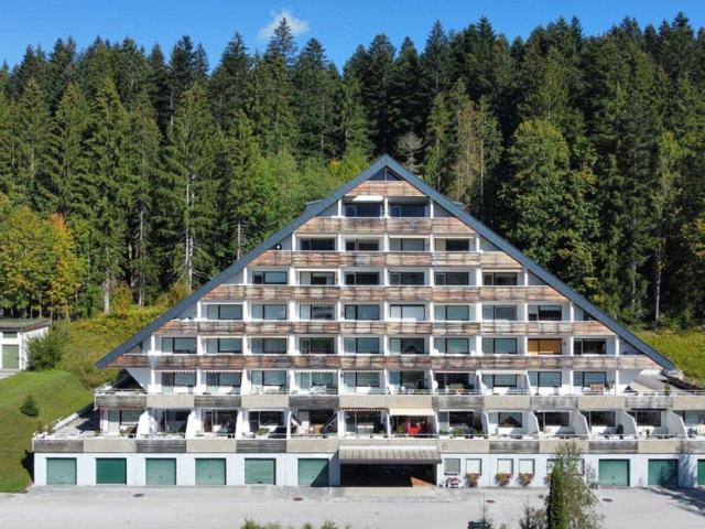 Traumhaftes Urlaubsdomizil mit Bergblick: Gemütliche Ferienwohnung in Bad Mitterndorf