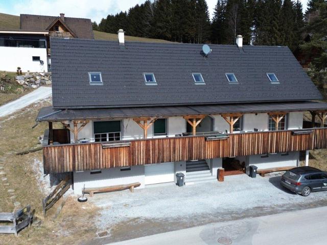 Traumhaftes Ferienhaus mit 2 Wohneinheiten am Packer Stausee