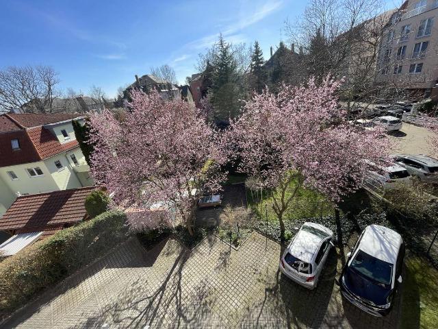 Traumhafter Blick über Cotta, provisionsfreie 2 Zimmer Wohnung mit Balkon und PKW Stellplatz