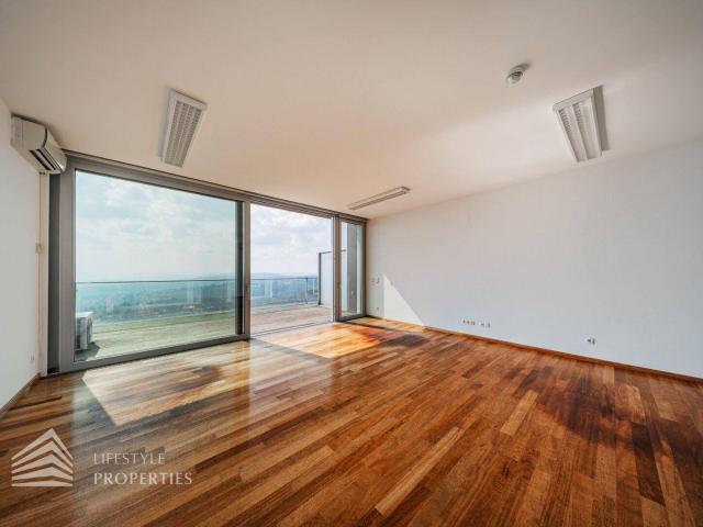 Traumhafter Blick über Wien! Garconniere mit Terrasse am Kahlenberg