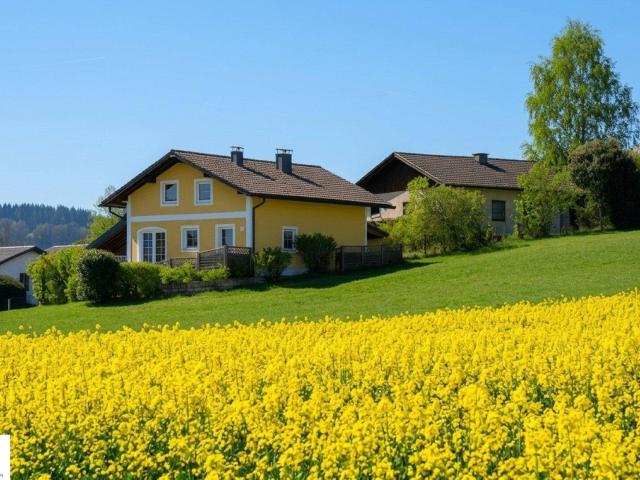Traumhaus nahe dem Mattsee: 6 Zimmer, Wintergarten, Carport – Ihr neues Zuhause wartet!