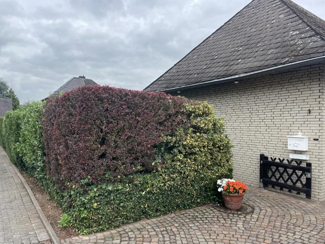 Traumhaus sucht geduldigen Käufer