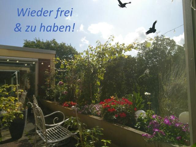Traumwohnung auf ganzer Etage kernsaniert, provisionsfrei