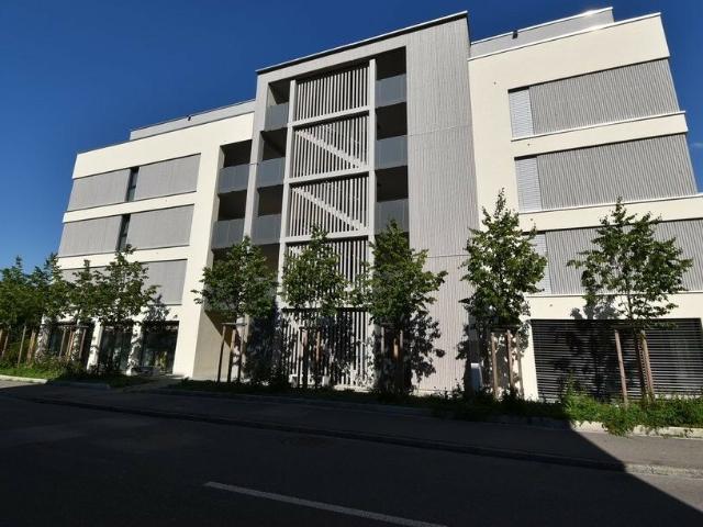 Traumwohnung in Heerbrugg